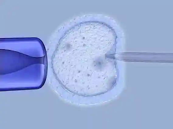 温州当多元家庭拥抱新生命：解锁 “彩虹生子” 的温暖密码